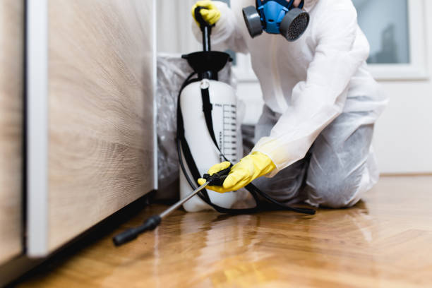 Best Mosquito Control Services  in Guttenberg, NJ