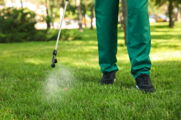 Best Ant Control Services  in Guttenberg, NJ