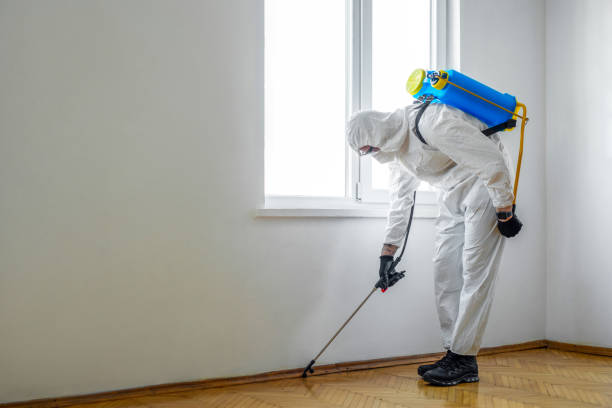 Best Local Pest Control Services  in Guttenberg, NJ
