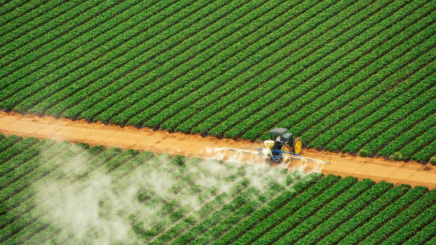 Best Pest Removal Services  in Guttenberg, NJ