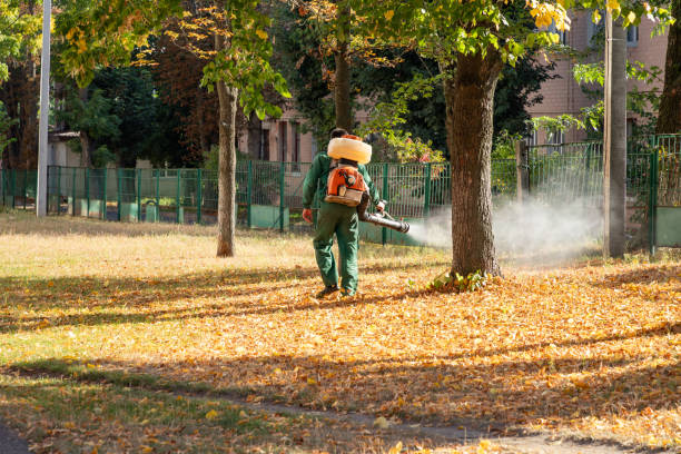 Best Commercial Pest Control Services  in Guttenberg, NJ