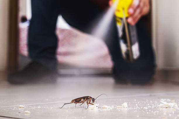 Best Termite Control Services  in Guttenberg, NJ