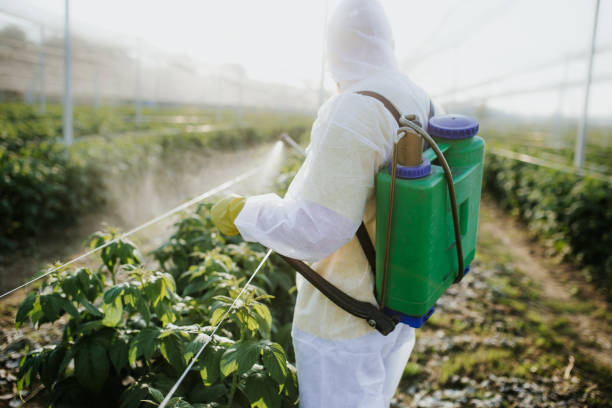 Best Bed Bug Extermination  in Guttenberg, NJ